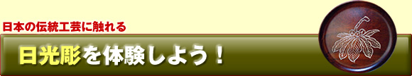 {̓`H|ɐG@̌悤I